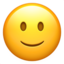 slightly_smiling_face